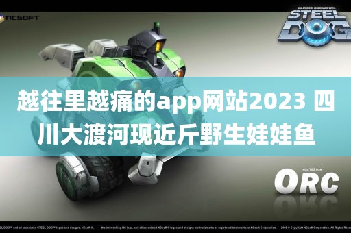 越往里越痛的app网站2023 四川大渡河现近斤野生娃娃鱼