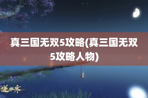 真三国无双5攻略(真三国无双5攻略人物)