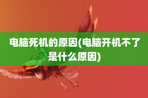 电脑死机的原因(电脑开机不了是什么原因)