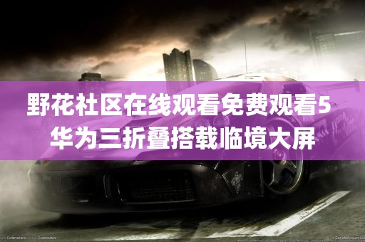 野花社区在线观看免费观看5 华为三折叠搭载临境大屏