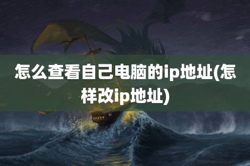 怎么查看自己电脑的ip地址(怎样改ip地址)