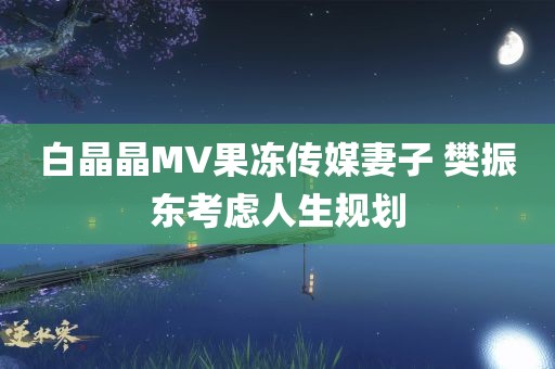 白晶晶MV果冻传媒妻子 樊振东考虑人生规划