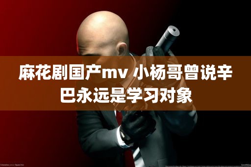 麻花剧国产mv 小杨哥曾说辛巴永远是学习对象