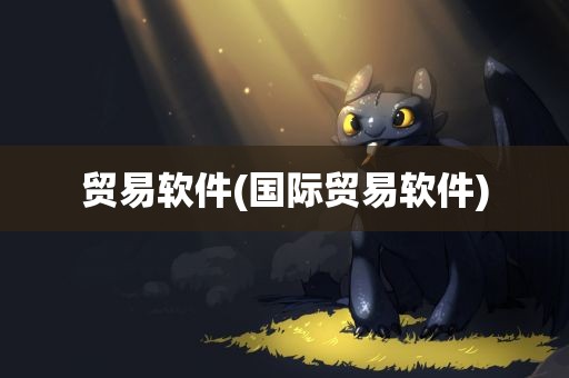 贸易软件(国际贸易软件)