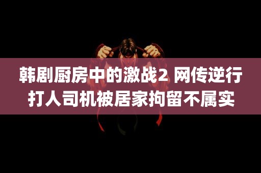 韩剧厨房中的激战2 网传逆行打人司机被居家拘留不属实