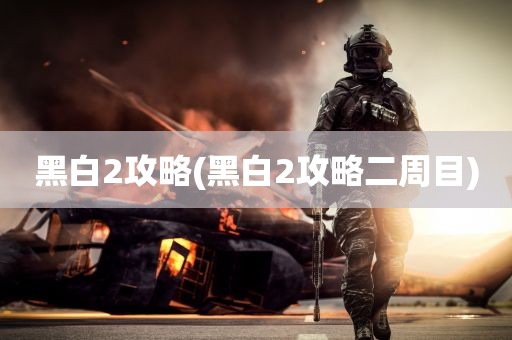 黑白2攻略(黑白2攻略二周目)