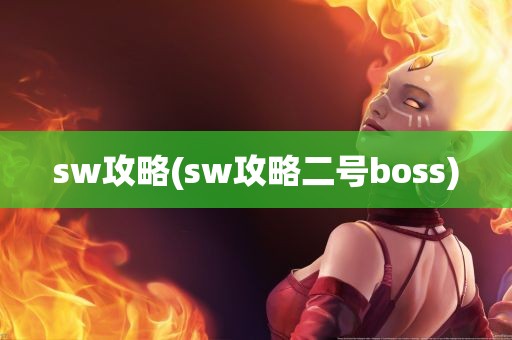 sw攻略(sw攻略二号boss)