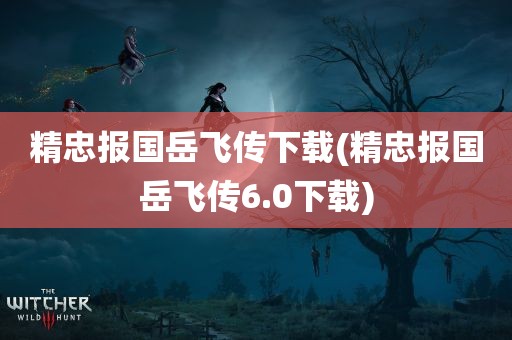 精忠报国岳飞传下载(精忠报国岳飞传6.0下载)