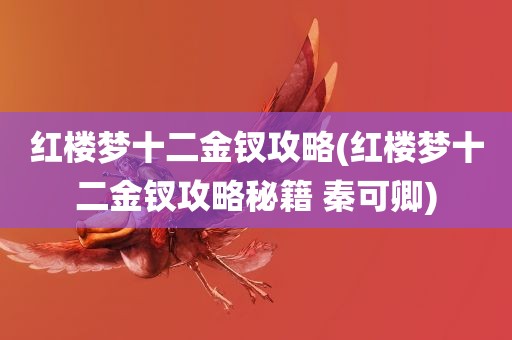 红楼梦十二金钗攻略(红楼梦十二金钗攻略秘籍 秦可卿)