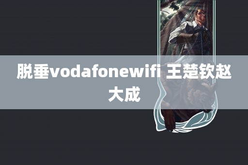 脱垂vodafonewifi 王楚钦赵大成