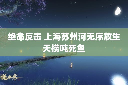 绝命反击 上海苏州河无序放生天捞吨死鱼