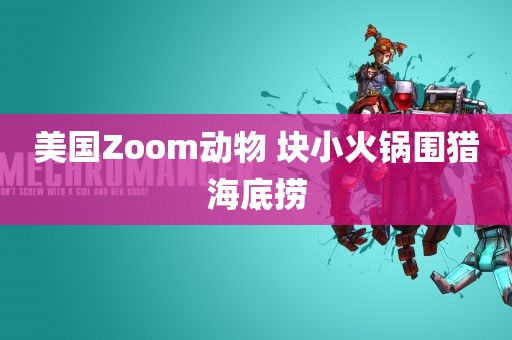 美国Zoom动物 块小火锅围猎海底捞