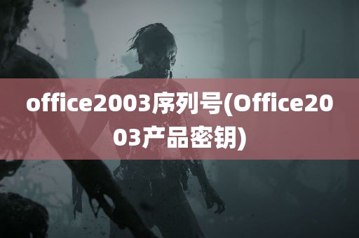 office2003序列号(Office2003产品密钥)