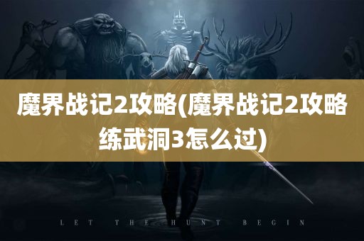 魔界战记2攻略(魔界战记2攻略练武洞3怎么过)