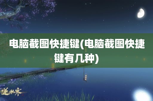 电脑截图快捷键(电脑截图快捷键有几种)