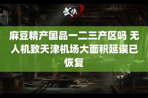 麻豆精产国品一二三产区吗 无人机致天津机场大面积延误已恢复