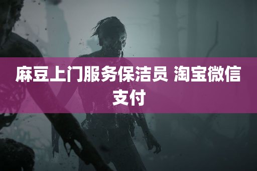 麻豆上门服务保洁员 淘宝微信支付