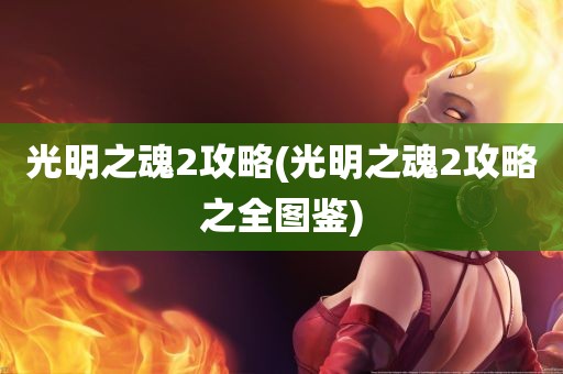 光明之魂2攻略(光明之魂2攻略之全图鉴)