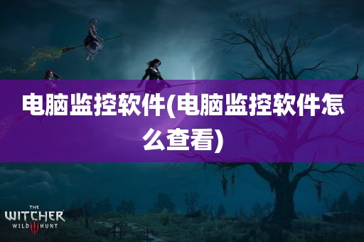 电脑监控软件(电脑监控软件怎么查看)