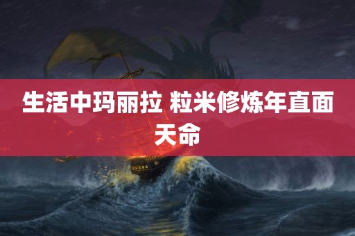 生活中玛丽拉 粒米修炼年直面天命