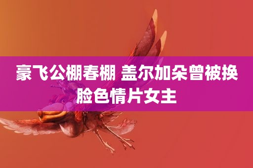 豪飞公棚春棚 盖尔加朵曾被换脸色情片女主