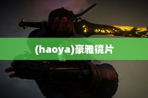 (haoya)豪雅镜片