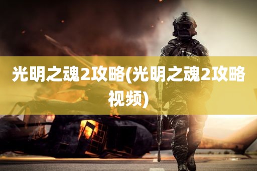 光明之魂2攻略(光明之魂2攻略视频)