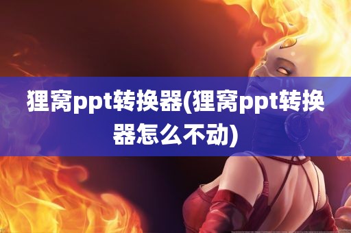 狸窝ppt转换器(狸窝ppt转换器怎么不动)