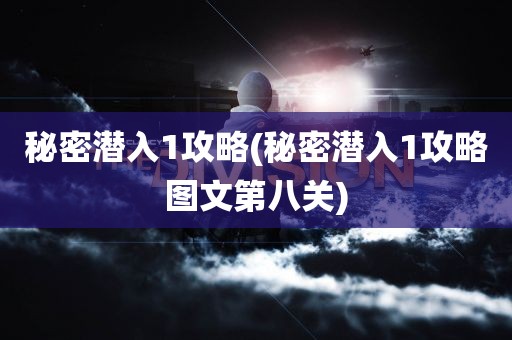 秘密潜入1攻略(秘密潜入1攻略图文第八关)