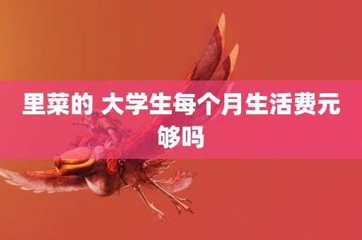 里菜的 大学生每个月生活费元够吗