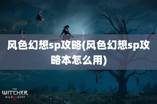 风色幻想sp攻略(风色幻想sp攻略本怎么用)