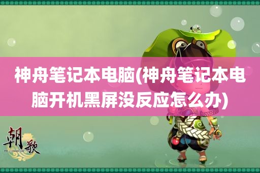 神舟笔记本电脑(神舟笔记本电脑开机黑屏没反应怎么办)