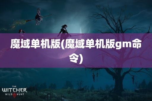 魔域单机版(魔域单机版gm命令)