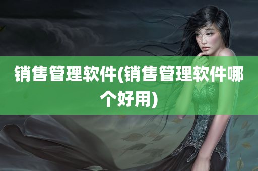 销售管理软件(销售管理软件哪个好用)