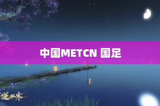 中国METCN 国足