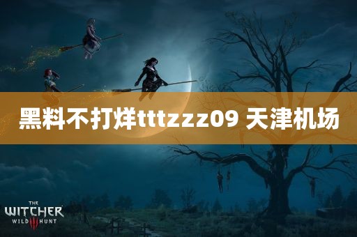 黑料不打烊tttzzz09 天津机场