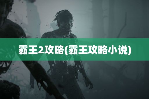 霸王2攻略(霸王攻略小说)