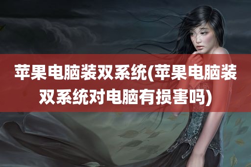 苹果电脑装双系统(苹果电脑装双系统对电脑有损害吗)