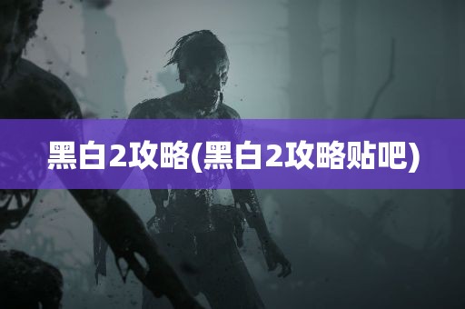 黑白2攻略(黑白2攻略贴吧)