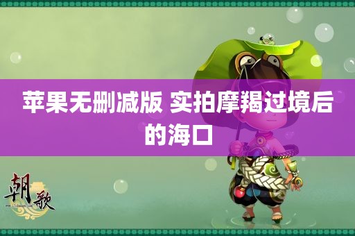 苹果无删减版 实拍摩羯过境后的海口