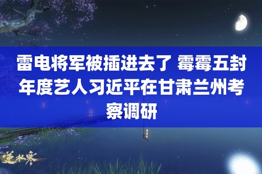 雷电将军被插进去了 霉霉五封年度艺人习近平在甘肃兰州考察调研