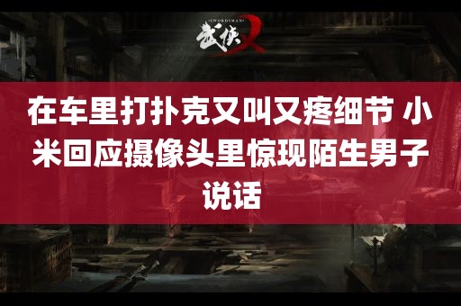 在车里打扑克又叫又疼细节 小米回应摄像头里惊现陌生男子说话