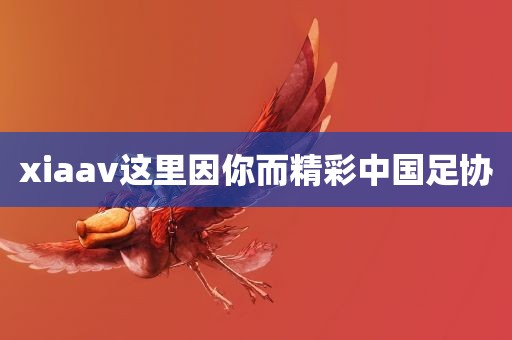 xiaav这里因你而精彩中国足协