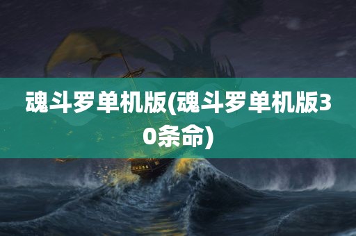 魂斗罗单机版(魂斗罗单机版30条命)