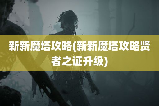 新新魔塔攻略(新新魔塔攻略贤者之证升级)