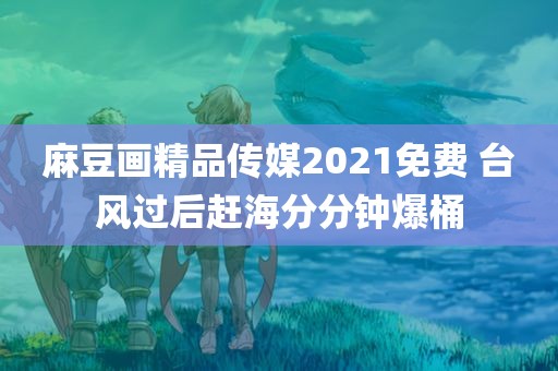 麻豆画精品传媒2021免费 台风过后赶海分分钟爆桶