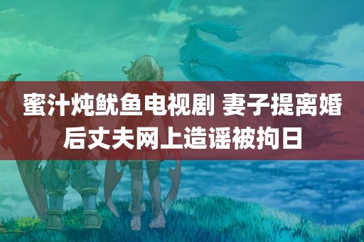 蜜汁炖鱿鱼电视剧 妻子提离婚后丈夫网上造谣被拘日