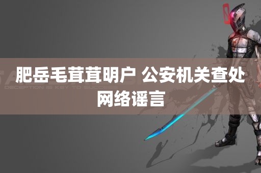 肥岳毛茸茸明户 公安机关查处网络谣言