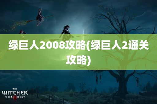 绿巨人2008攻略(绿巨人2通关攻略)