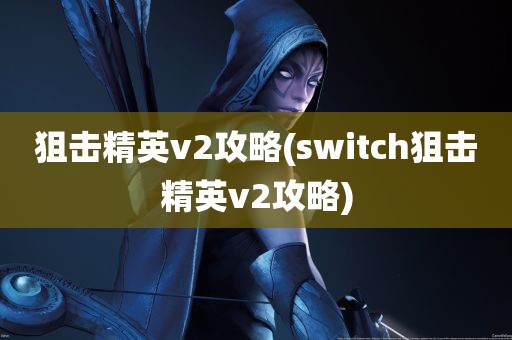 狙击精英v2攻略(switch狙击精英v2攻略)